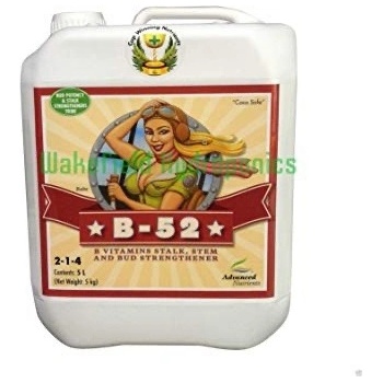 Advanced Nutrients B-52 4 l