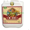 Advanced Nutrients B-52 500 ml
