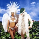 Alligator Farm - Paul Gilbert CD