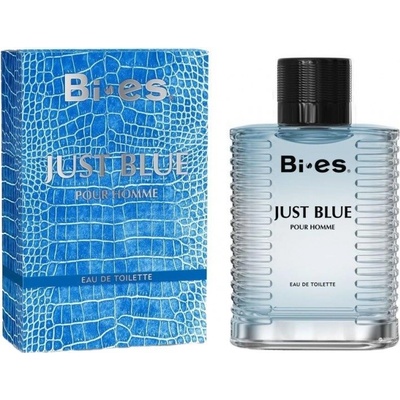 BI-ES Just Blue toaletná voda pánska 100 ml