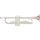 Roy Benson TR-202S