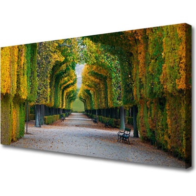 Obraz na plátně Park Podzim Zahrada Příroda 100x50 cm