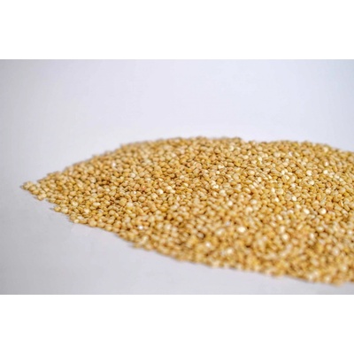 Bonitas Bio semena Quinoa 5kg