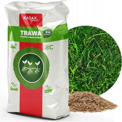 TRÁVA UNIVERZÁLNÍ ZAHUŠŤOVACÍ 5KG 200m2