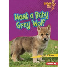 Meet a Baby Gray Wolf