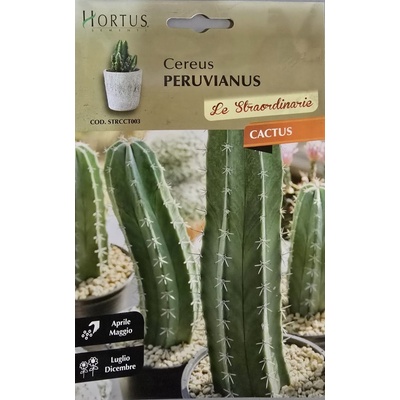 Hortus Кактус Цереус (Cereus peruvianus) - Перуански Кактус