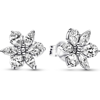 Pandora 292633C01