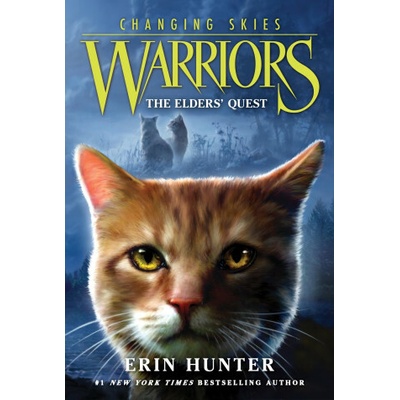 Warriors Changing Skies