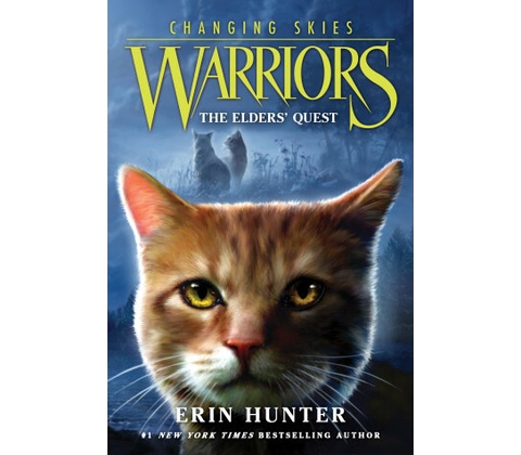 Warriors Changing Skies