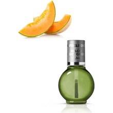 ANPRO Ovocný olej s kvetmi Melón 11,5 ml