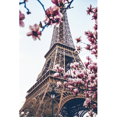 Plagát, Obraz - Paris - Eiffel Tower, 80 × 120 cm