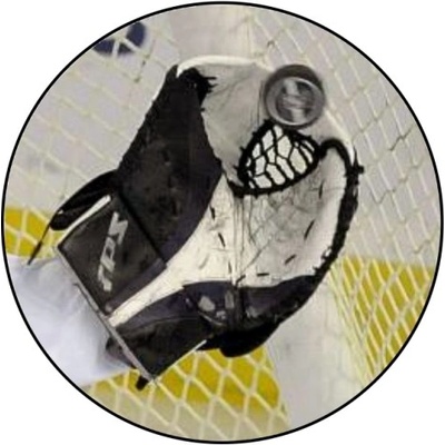 VIZINGR Lední hokej MINI logo L1č.178 – Hledejceny.cz