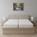 DreamBed STRESSFREE