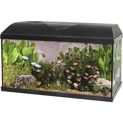 Pacific 60 akvarijní set 1 x 15W Eco 60 x 30 x 30 cm, 54 l – Zboží Mobilmania