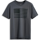Alpinestars waving patch CSF sivé