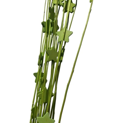 Ting hvězdička 1043