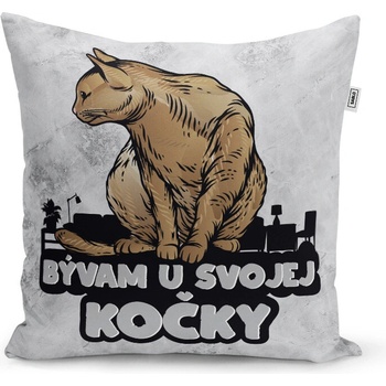 Sablio Vankúš Bývam u svojej mačky 40x40