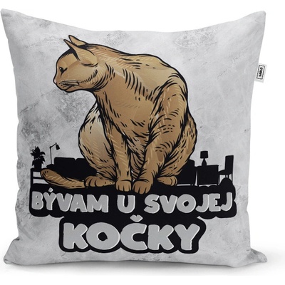 Sablio Vankúš Bývam u svojej mačky 40x40