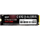 Silicon Power UD90 500GB, SP500GBP44UD9005