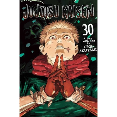 Viz Media Jujutsu Kaisen 30