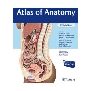 Atlas of Anatomy | Brian R MacPherson, Jamie Wikenheiser, Michael Schuenke, Erik Schulte, Udo Schumacher (ISBN: 9781684206650)