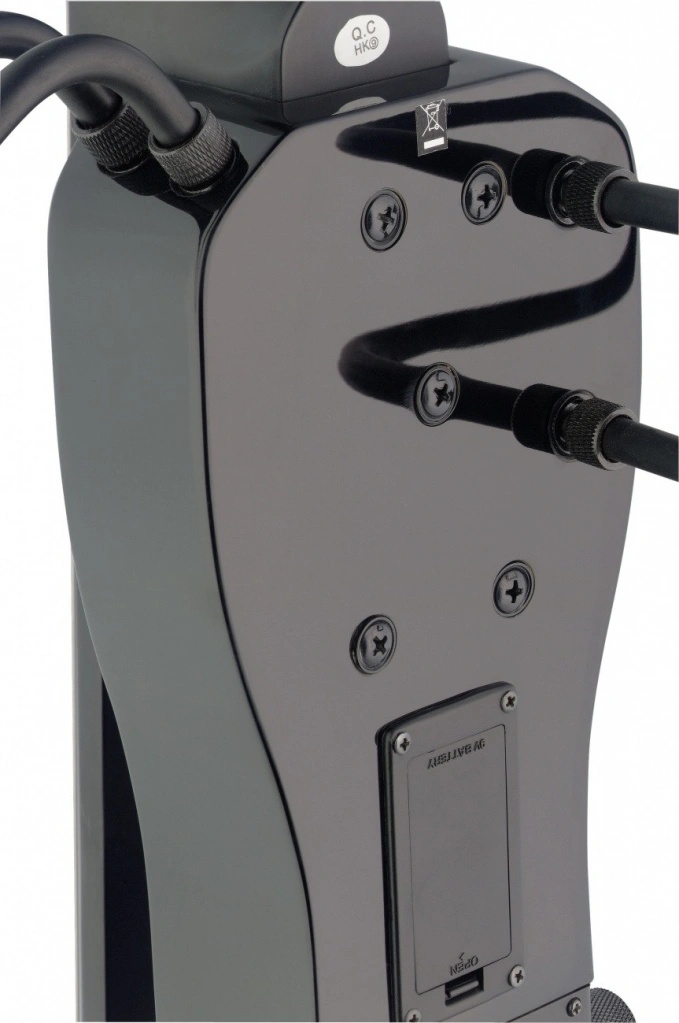 Stagg ECL 4/4 set