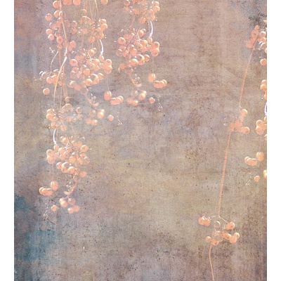 DIMEX MS-3-0379 vliesová fototapeta rozměry 225 x 250 cm