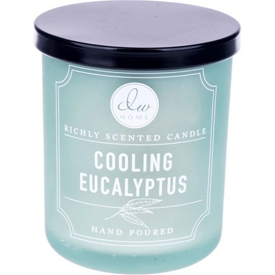 Dw HOME Chladivý eukalyptus 255 g