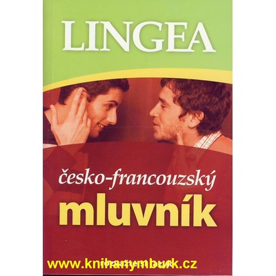 Česko - francouzský mluvník
