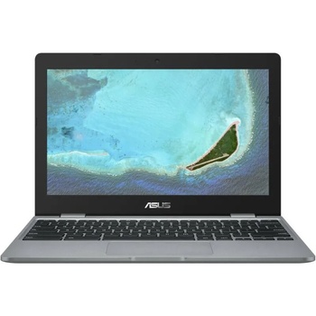 ASUS ChromeBook C223NA-GJ0055