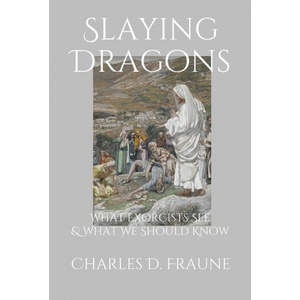 Slaying Dragons | Charles D. Fraune (ISBN: 9781735049700)