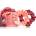 invisibobble Sprunchie Slim You Make Me Blush ластици за коса 2 бр