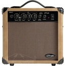 Stagg 10 AA