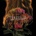 Stills - Without Feathers CD