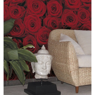 Komar 4-077 Fototapeta květiny Roses Rozměr 194 x 270 cm