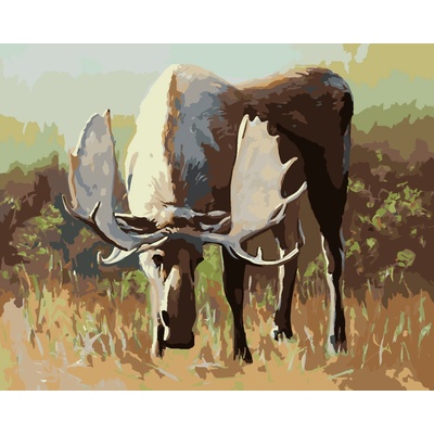 ZUTY Malování podle čísel OSAMĚLÝ LOS NA PASTVINĚ D RUSTY RUST Rozměr 40 x 50 cm Rámování vypnuté plátno na rám