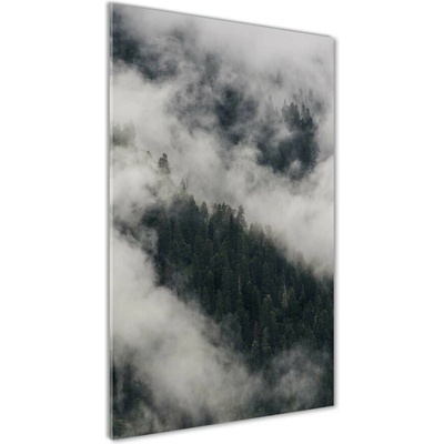 Vertikálny foto obraz fotografie na skle Mrak nad lesom 50x100 cm