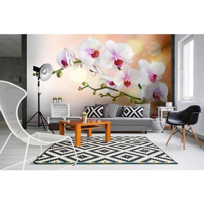 Dimex MS-5-0147 vliesová fototapeta na zeď Bílá orchidej rozměry 375 x 250 cm