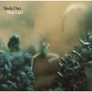 Dan Steely Katy lied 1 LP