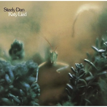 Dan Steely Katy lied 1 LP