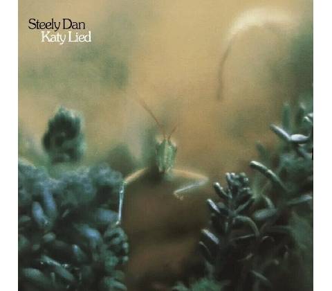 Dan Steely Katy lied 1 LP
