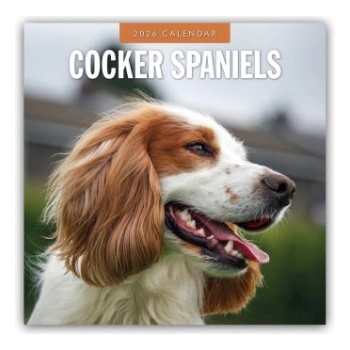 Browntrout Verlags GmbH Cocker Spaniels - Cocker Spaniel 2026 - 16-Monatskalender | Red Robin