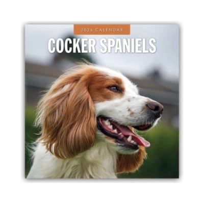 Browntrout Verlags GmbH Cocker Spaniels - Cocker Spaniel 2026 - 16-Monatskalender | Red Robin