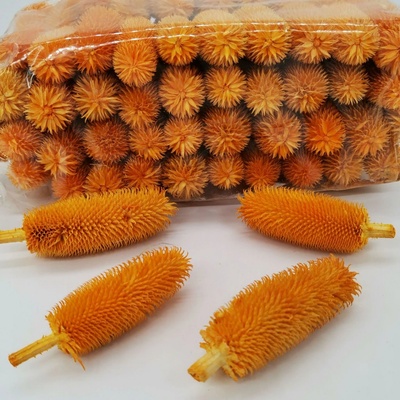 Hlavička bodláku dipsacus - 500 gramů - oranžová - SU0847