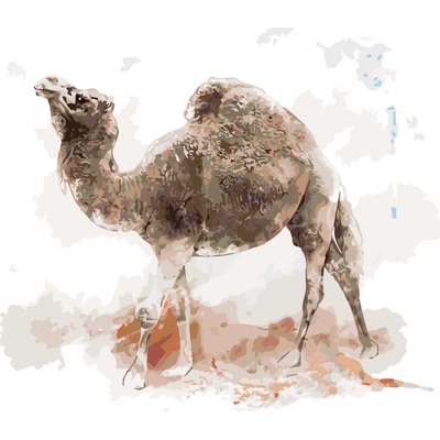 ZUTY Malování podle čísel VELBLOUD Rozměr 80 x 100 cm Rámování vypnuté plátno na rám