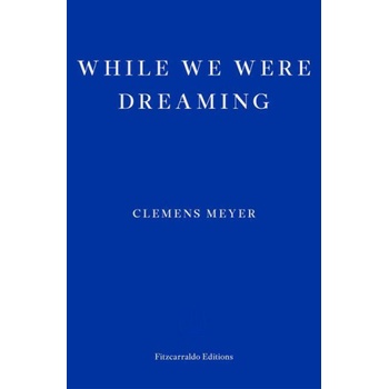 While We Were Dreaming
