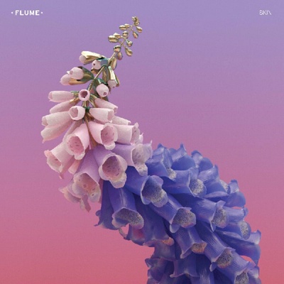 Flume - Skin (Pink Coloured) 2 LP
