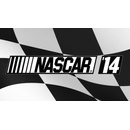 Hry na PC NASCAR 14