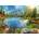 Ravensburger - Puzzle Life at the Lake - 1 000 piese