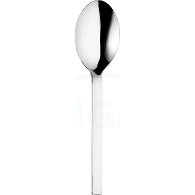 Alinea lžíce servírovací 24,8 cm|TOM ET 3020 12 nerezová